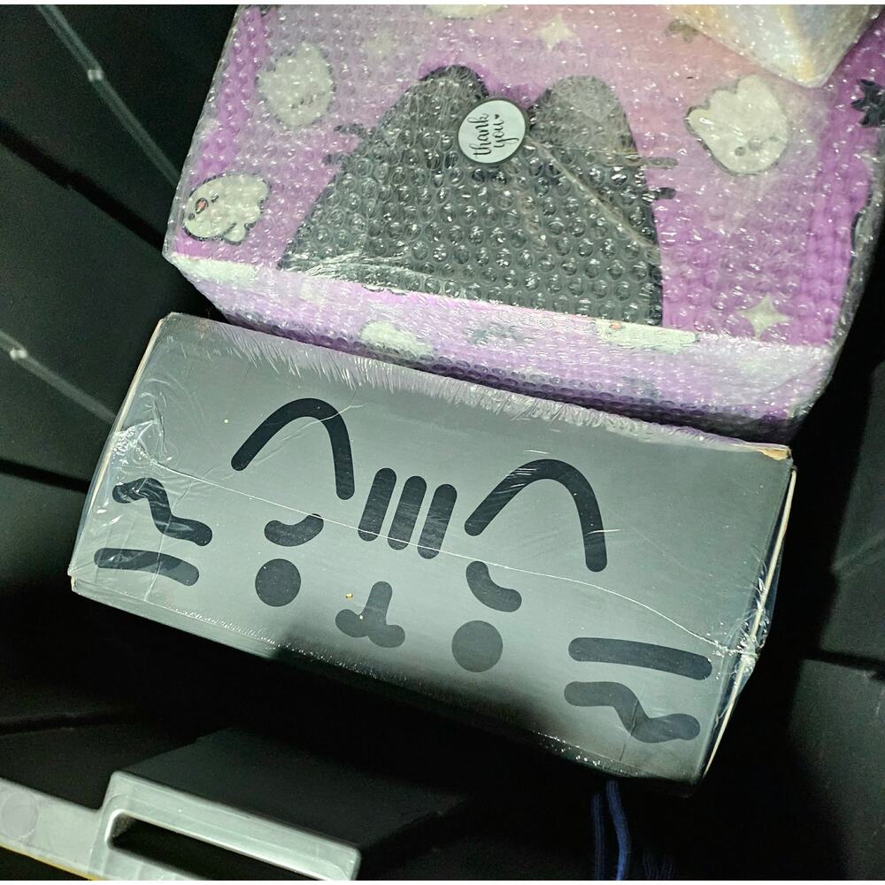 sealed Fall 2023 Pusheen Scaredy Cat  Halloween Box
